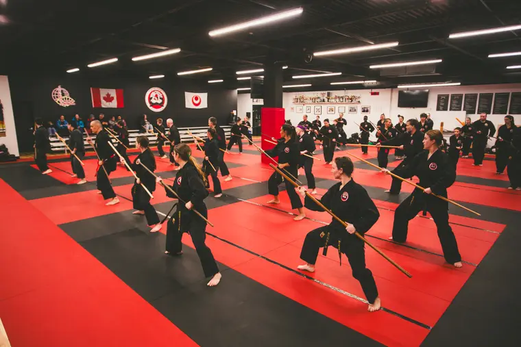Groupe d’élèves en rang sur le tatami, bâtons tendus
