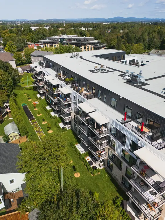 Immeuble résidentiel bordé d’arbres vu du ciel