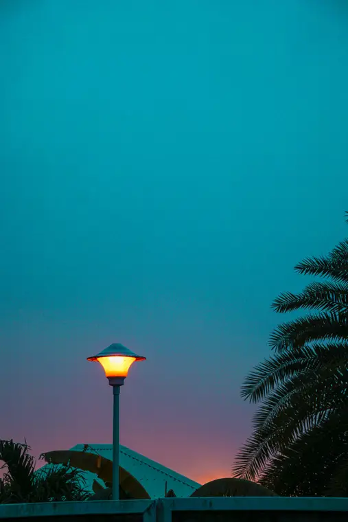 Lampadaire allumé au crépuscule près d’un palmier